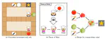 Theory of Mind Models for Human Robot Interaction under Partial Observability