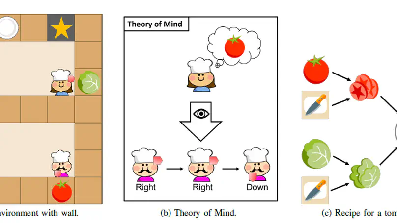 Theory of Mind Models for Human Robot Interaction under Partial Observability